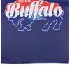 Northlight Let's Go Buffalo Outdoor Garden Flag 18" x 12.5" - 4 of 4