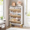 Tribesigns Slim Hidden Shoe Cabinet - 2 of 4