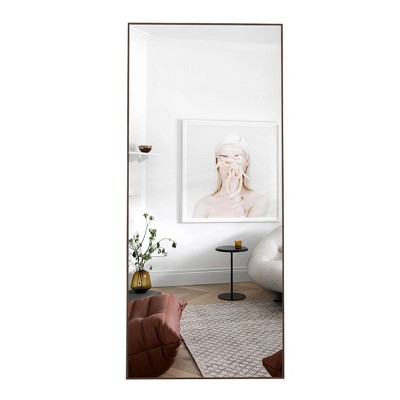 Infurnic Full Length Mirrors Modern Vanity Mirror with Durable Frame for Easy Home Integration, Clothing Shop, Bedroom, Beige, 31.4"*1"*71"