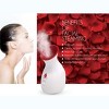 Pursonic Facial Steamer Hot Mist Moisturizing Spa - image 3 of 3