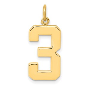 Black Bow Jewelry 14k Yellow Gold, Athletic Collection, Large Polished Number 3 Pendant - 1 of 4