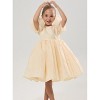 2Bunnies Girls' Organza Puff Sleeve Babydoll Fit & Flare Dress - image 4 of 4