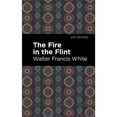The Fire in the Flint - (Black Narratives) by  Walter Francis White (Paperback)