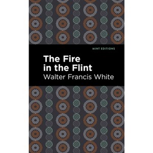 The Fire in the Flint - (Black Narratives) by  Walter Francis White (Paperback) - 1 of 1