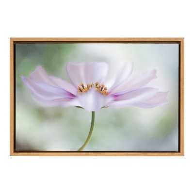 23" x 16" Cosmos Cloud flower Framed Canvas Wall Art - Amanti Art