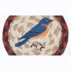 Earth Rugs Bluebird Printed Coaster – Songbird Design on Braided Jute, Cottagecore Accent, 5"x5" - 3 of 3