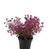Unique Bargains Artificial Plants Bellflower Decorative Pot Plastic 2.95"x2.95"x6.69" 1 Pc - 4 of 4