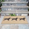 Liora Manne Frontporch Pet Indoor/Outdoor Rug.. - 4 of 4