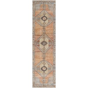 Hauteloom Aliyya Hallway, Kitchen Machine Washable Runner Rug - Traditional - 1 of 4