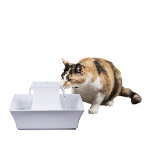 Drinkwell cat water fountain sale