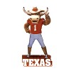Evergreen University of Texas, Mascot Statue - 2 of 4