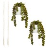 Juvale 2 Pack Hanging Artificial String of Pearls with Ceramic Pot Macrame Hanger, Faux Fake Plant for Wall Decor, 31 in - 3 of 4