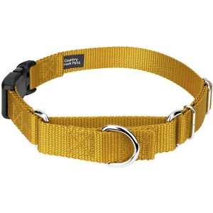 Country Brook Petz Heavy Duty Nylon Martingale Dog Collar with Deluxe Buckle - 30+ Vibrant Color Options - 1 of 4