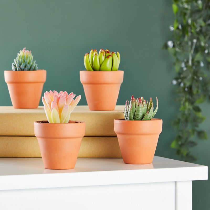 Juvale 10-Pack 2-Inch Mini Terracotta Pots with Drainage Holes for Succulents, Plants, Herbs, and Flowers, Small Clay Pot Planters, 2 of 9