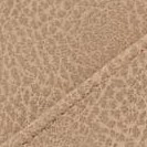 light taupe