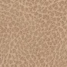 light taupe