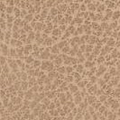 light taupe