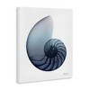 Stupell Industries Contemporary Nautilus Shell, 30" x 40" - 3 of 4