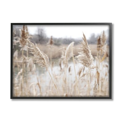 Stupell Industries Rural Pampas Grass Reeds Lakeside Pond Marsh Framed Giclee Art