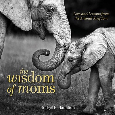 The Wisdom of Moms - by  Bridget Hamilton (Hardcover)