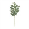 Variegated Foliage Spray (Set of 2) - 2 of 4