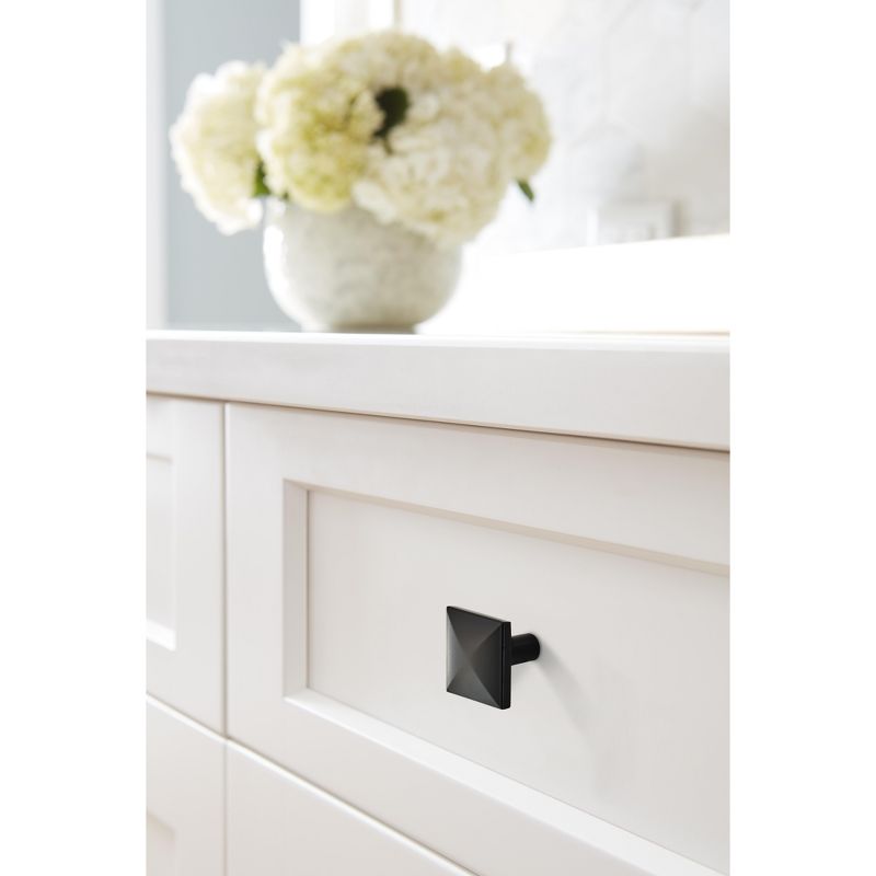 Amerock Extensity Cabinet or Furniture Knob, 2 of 4