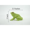 Collectible Wildlife Gifts | Frog, American Green Garden frog, Amphibians, Museum Quality, Hand Painted, Rubber, Toy,  Gift,   2 1/2"   CH689 BB173 - 3 of 4