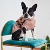 GF PET Heritage Sweater - 4 of 4
