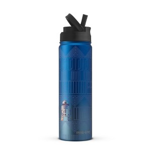 Star Wars™ Linear R2-D2™ Stainless Steel Water Bottle - 22 oz : Target