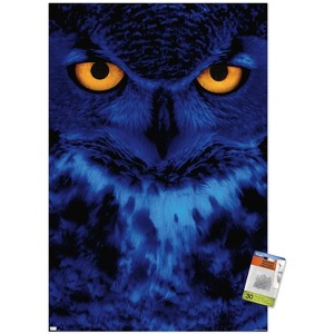 Trends International Owl - Eyes Unframed Wall Poster Prints - 1 of 4