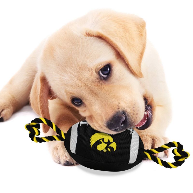 NCAA Iowa Hawkeyes Nylon Football Dog Toy, 4 of 5
