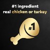 Cesar Filets in Gravy Variety Pack Small Breed Wet Dog Food - 3.5oz/12ct - 3 of 4