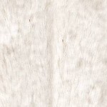 Ivory | Multi-Colored