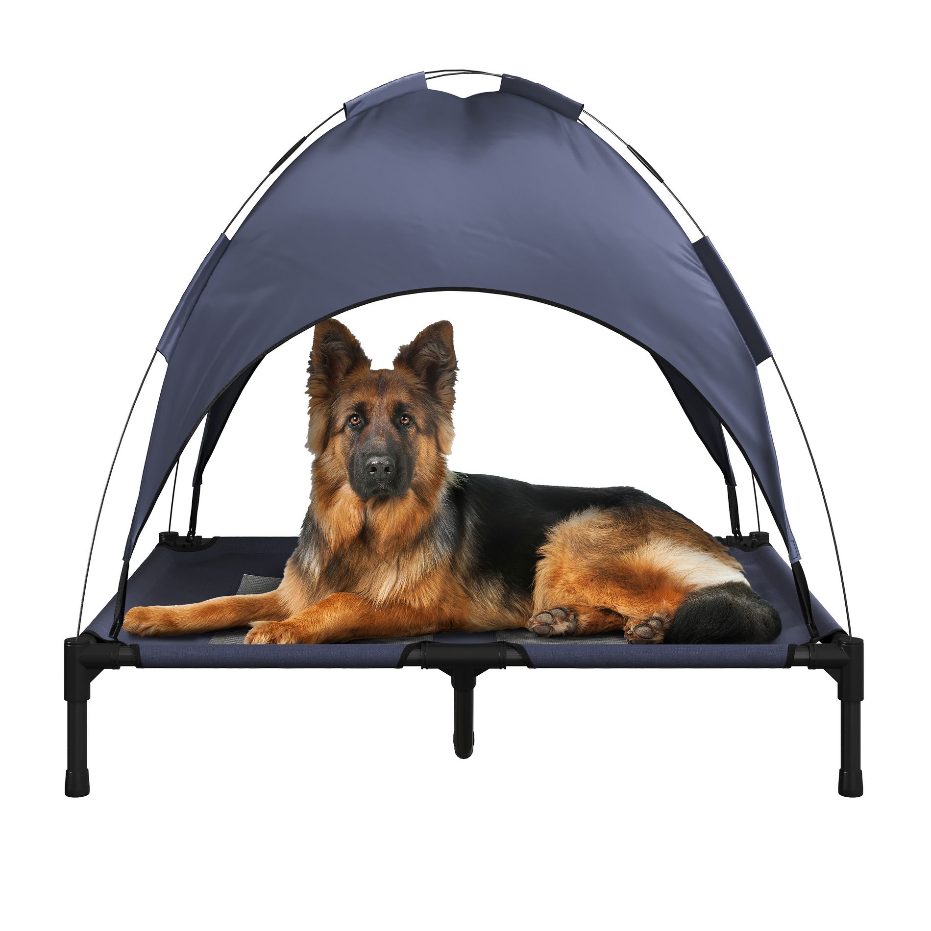 Elevated Dog Bed with Canopy - 36x30-Inch Portable Pet Bed with Non-Slip Feet - Indoor/Outdoor Dog Cot with Carrying Case by PETMAKER (Blue)