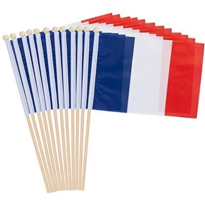 Juvale 12 Piece France Stick Flag, Handheld French National Banner for Party Decor, Parades, Festival, 5.5 x 8.3 in