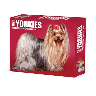 2022 Box Calendar Just Yorkies - Willow Creek Press