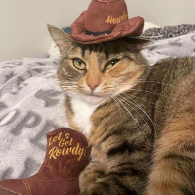 Guest review image 2 of 3, zoom in