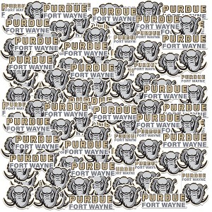 Purdue University Fort Wayne 100Ct Sticker Packs Miscellaneous 100 Ct. Sticker Pack - 1 of 4