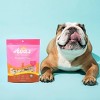 Ava's Pet Palace Peanutty Paws Organic Baked Biscuit with Peanut Butter Flavor Dog Treat - 6oz - 4 of 4