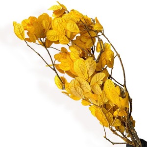Alilang Decorative Dried Leafy Branches for Modern Home Decoration and Floral Arrangements, 15.5 Inches - 1 of 3