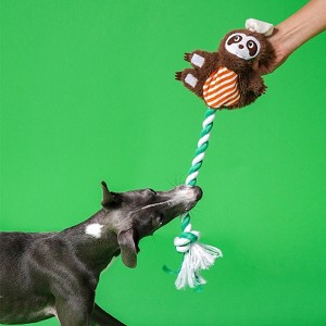 ZEZE Shuala Sloth Crinkle Rope Toy-Brown - 1 of 4
