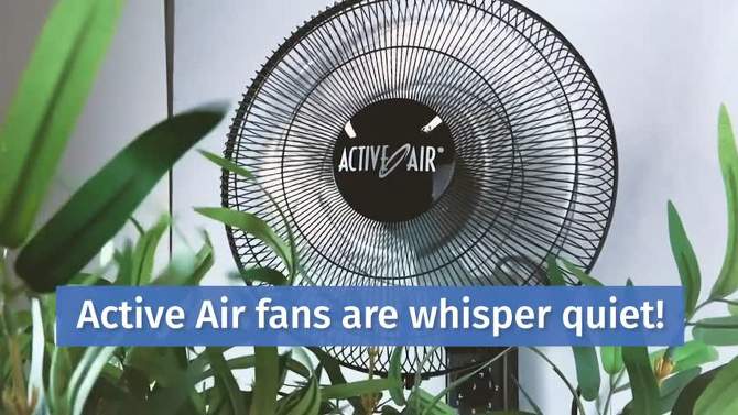 Active Air ACFW16HDB 16-Inch 3-Speed Heavy-Duty Industrial Metal Wall Mountable Oscillating Quiet Tilting Fan, Black, 2 of 7, play video
