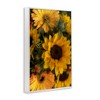 Stupell Industries Bunches of Garden Sunflowers Framed Giclee Art - 2 of 4