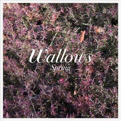 Wallows - Spring EP (Pink & Green) (EXPLICIT LYRICS) (Vinyl)