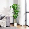 DR.Planzen 5-6FT Artificial Dracaena Tree with UV Resistant Leaves - Potted Fake Plant for Indoor/Outdoor Floor Decor, White Plastic Planter - 2 of 4