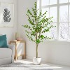 Gulches 76in Artificial Enkianthus Tree in Pot Green Polyester Leaves with Flexible Branches Indoor Outdoor Zen Decor Relaxing Faux Plant - 3 of 4