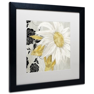 Trademark Fine Art -Color Bakery 'Sunroom II' Matted Framed Art