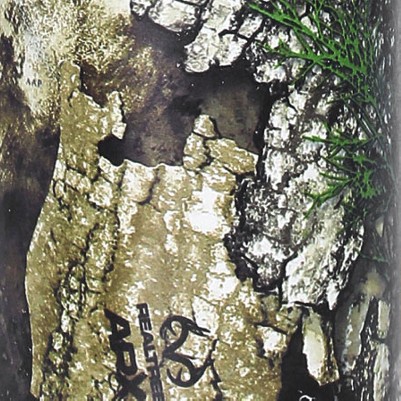 realtree apx