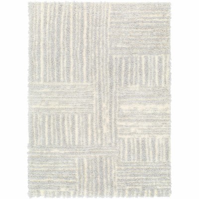 Hauteloom Arich Gray Plush Area Rug