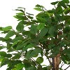 Artificial Ficus Tree with Pot - 4 of 4